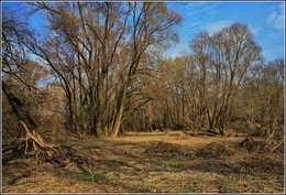 Frühlingslandschaft / ***