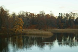 Herbst / ***