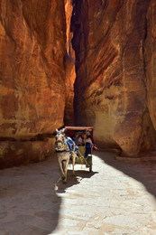 &nbsp; / A horse carriage in a gorge, Siq canyon in Petra, Jordan