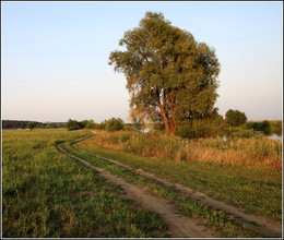 Abendlandschaft / ***