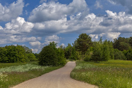 Die Straße im Sommer / ***