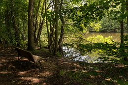 ohne Worte ... oder Sie wissen nicht, wie ich es nennen))) / ***