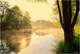 Nebel und Sonne / ***