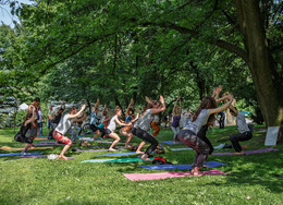 Lviv Yoga Day / ***