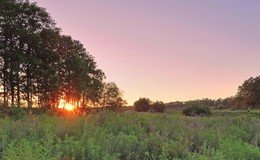 Abend auf dem Lande / ***