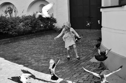 Flug / ...