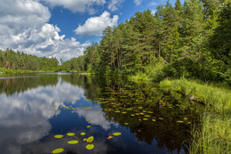 Am See / ***