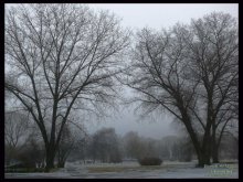 Winter mit einem Hauch von Herbst / ***