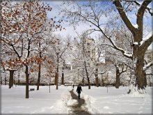 Stadt seinen Augen völlig verloren .. / Toronto, Queen's Park