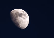 Moon / ***