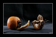 Chestnut 3 / ***