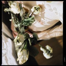 Roses / *****