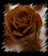 Miracle Tsvetik / ***