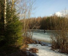 Warten auf den Frühling / ***