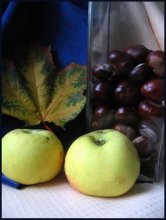Äpfel / ***
