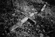 Lost Memory / ***