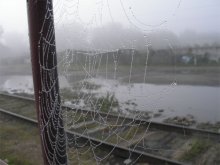 Foggy Day / ***