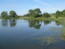 Sommertag im See gebadet / ***