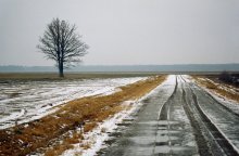 Sumpfigen Wäldern / ******