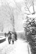 Schneesturm / ***