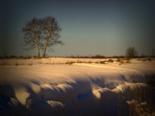 Warme Töne des Winters. / ***