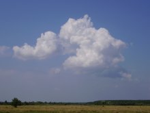 Plötzlich, in der Hitze einer Wolke / ***
