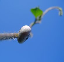 Lange Weg zum Himmel / ***