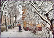 Wärmere Winter / Reedit