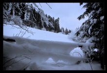Snow Country / ***