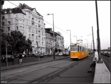 Orange auf den Straßen) / ***
