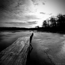 In welcher ... / ***