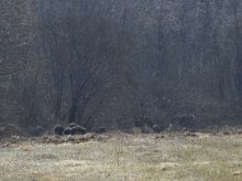 Frühstück ertragen. / ***