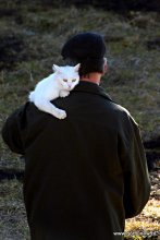 Boss, Sie haben eins! / ***