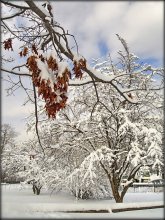 Winter Schnee war .. / ...