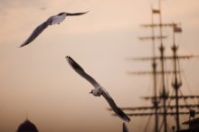 Sehen Sie den Sonnenuntergang über den Masten der Fregatte / ***