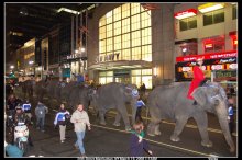 Elefanten in New York / ***