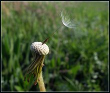 Nur eine linke ... / ...