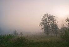 Misty Dawn / ***