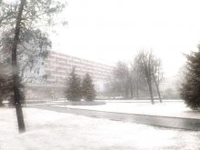 jüngsten Schneestürme / ***