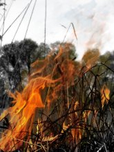 ein Stück Hölle auf Erden! / .....