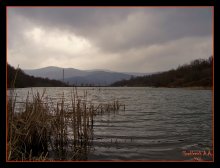 Teich / ***