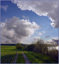 Spring LIGHT .... / ***