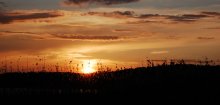Der Mai Sonnenuntergang * / ***