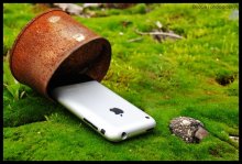 Apple / ***