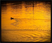 Abendstimmung am Nemige ... / ***
