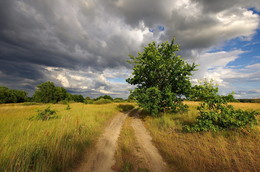 Wolken / .....