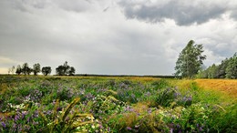 Vor dem Sturm / ***