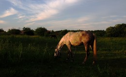 Abend im Dorf / ***