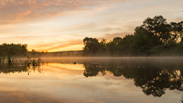 Morgendämmerung / ***