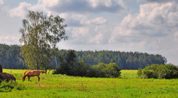 Landschaft im ländlichen Raum / ***